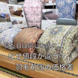 見た目は同じなのに、なぜ値段が違う？羽毛布団の価格差